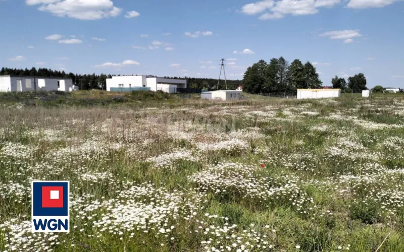 Działka na sprzedaż Grzybno