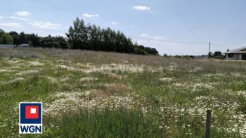 Działka budowlana na sprzedaż Grzybno