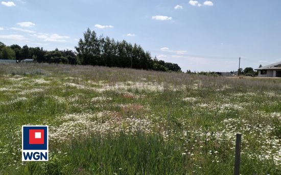 Działka budowlana na sprzedaż Grzybno